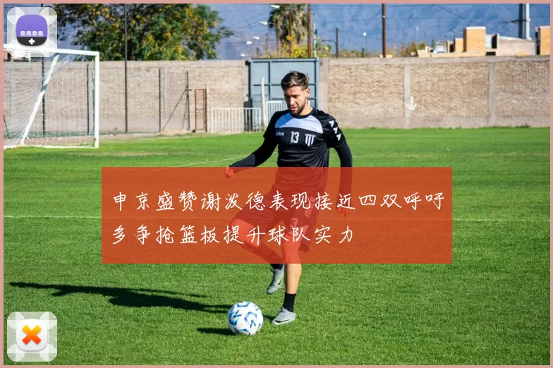 申京盛赞谢泼德表现接近四双呼吁多争抢篮板提升球队实力