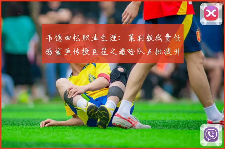 韦德回忆职业生涯：莱利教我责任感鲨鱼传授巨星之道哈队互批提升自我